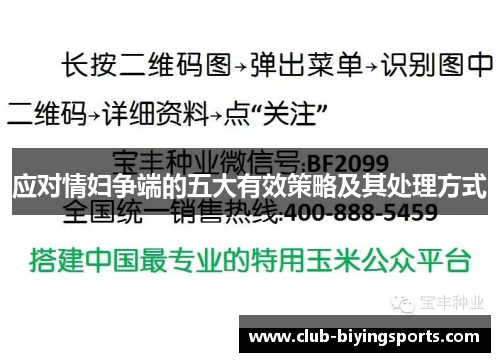 应对情妇争端的五大有效策略及其处理方式